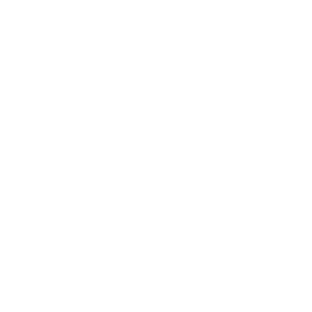 Das Icon zeigt einen weißen Pfeil, der nach unten auf einen Behälter zeigt - als Symbol für Downloads.