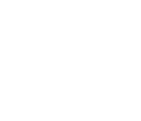 Das Icon zeigt ein Fahrrad, das fährt